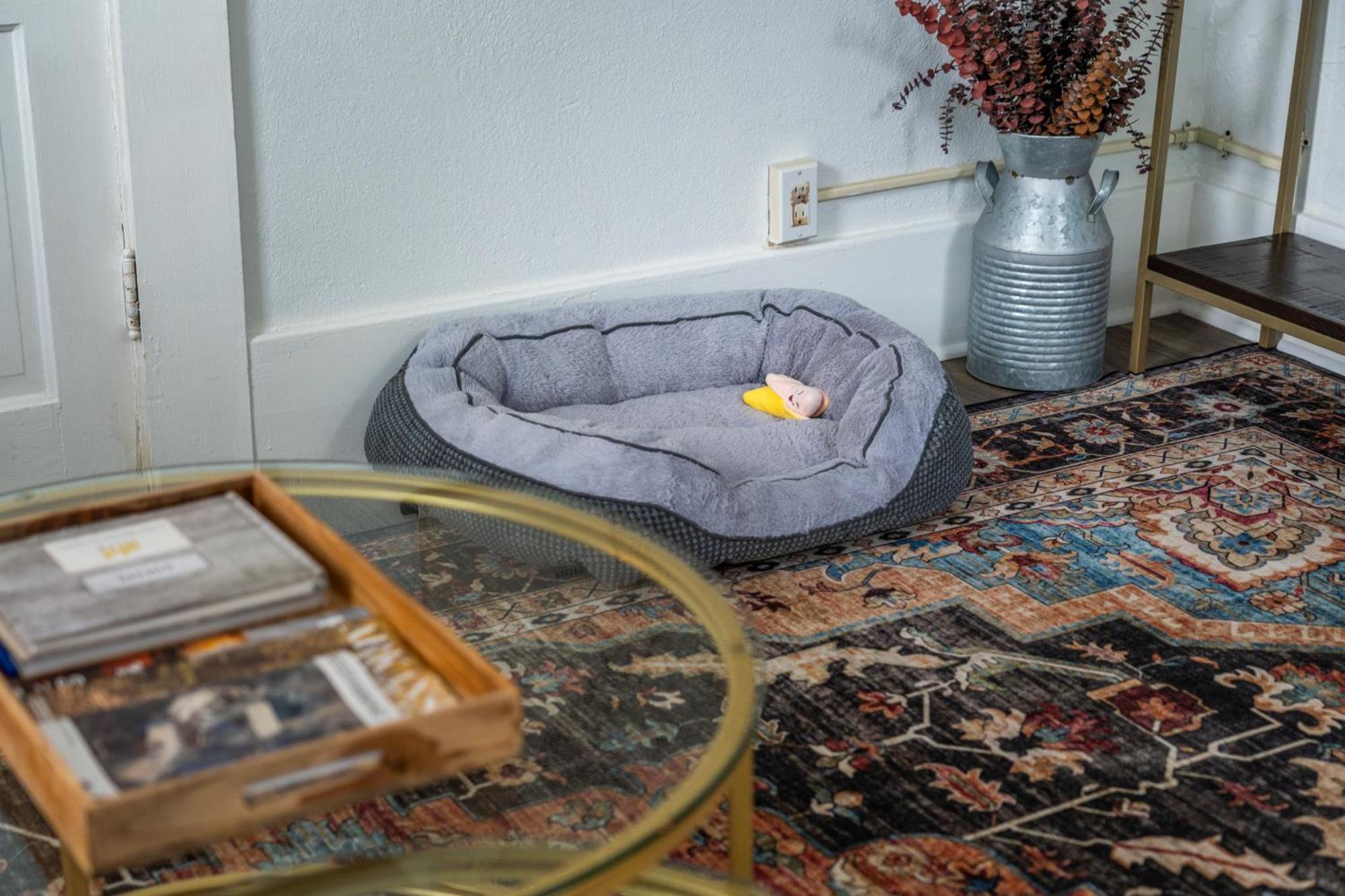Cedar Blossom Bungalow Is A Cozy Getaway With A 5 Minute Walk To Downtown! Hot Springs Exteriör bild